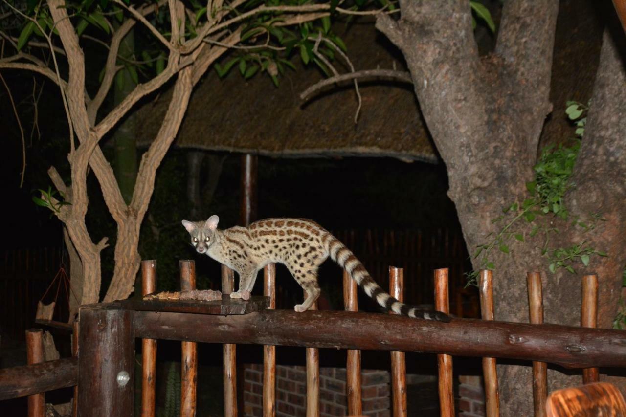 Bona Ngwenya Lodge & Safaris Marloth Park Luaran gambar